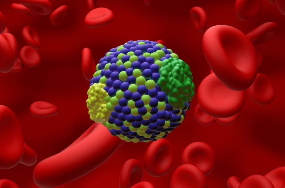 膽固醇是什麼？膽固醇有分好壞？